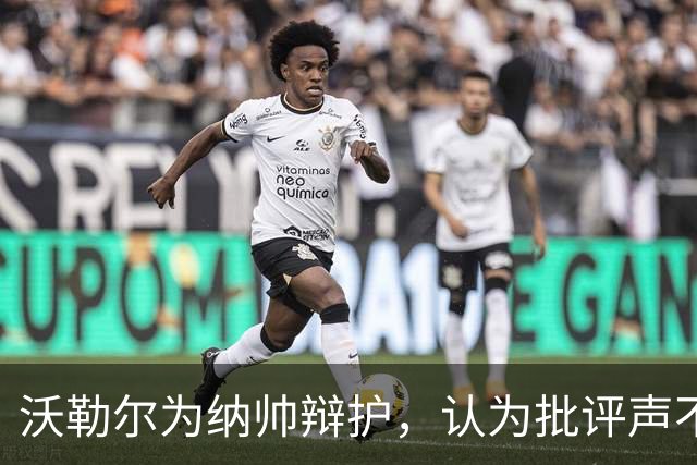 沃勒尔为纳帅辩护，认为批评声不公与过度